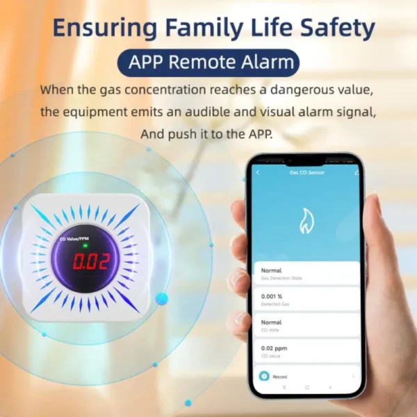 Carbon Monoxide User-friendly Advanced Technology Early Warning Smart Home 24/7 Monitoring Co Alarm For Bedroom Gas Detector